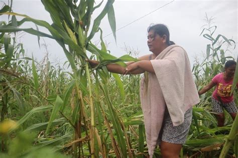 Signal No 4 still up in parts of Cagayan, Ilocos Norte as 'Egay' moves.